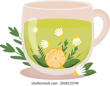 Herbal tea. Cup of tea with camomile, mint, lemon slice in transparent cup with floral decoration. Hot drink. Health care. Homeopathic treatment. Vector illustration on white background. 