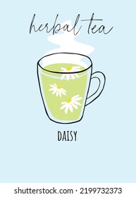 Herbal tea Daisy vector illustration