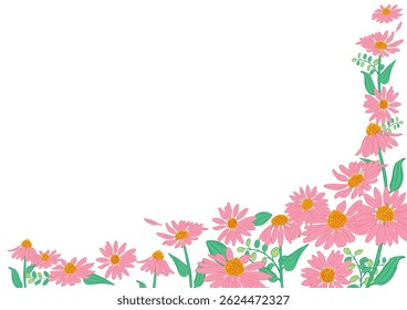 Herbal tea Echinacea and flower illustration corner frame