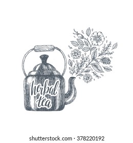 Herbal tea engraved illustration. Kettle tea composition. Vector illustration