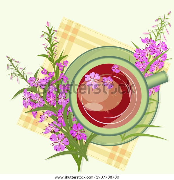 Herbal Tea with Epilobium or\
Fireweed inflorescences, Healing Drink. Russian Ivan - tea rich\
infusion or decoction, top view close-up. Vector\
illustration.