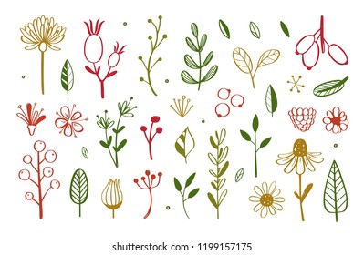 Herbal tea and floral doodle set. Vector hand drawn botanical illustration. Isolated objects on white