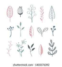 Herbal tea and floral doodle set. Vector hand drawn botanical illustration. Isolated objects on white