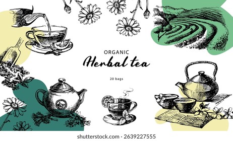 Herbal tea frame with vintage teapot, cup, chamomile flowers, tea leaves, plantation field. Natural eco product. Hand drawn vector illustration.
