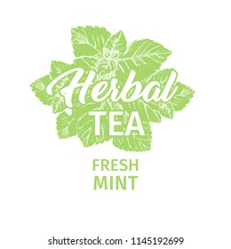 Herbal Tea with Fresh Mint Logo Template. Isolated Hand Drawn Green Silhouette Label with Peppermint.Spearmint Botany Plant and Hand-Lettering Calligraphy Inscription. Botanical Design, Medical theme.