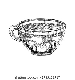 Chá de ervas com gengibre mão desenhada ilustração vetorial. Copo de estilo gravado vintage com raiz de gengibre. Não é gerada IA.