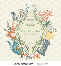 Herbal tea herbs and flowers botanical decorative vintage herbs tea background hand drawn ink vector 