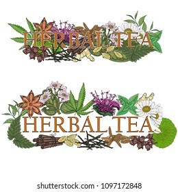 Herbal tea. Illustration of name with flowers and leaves for a tea bar.