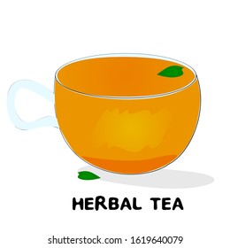 Herbal Tea indian Jammu and Kashmir Food Vector