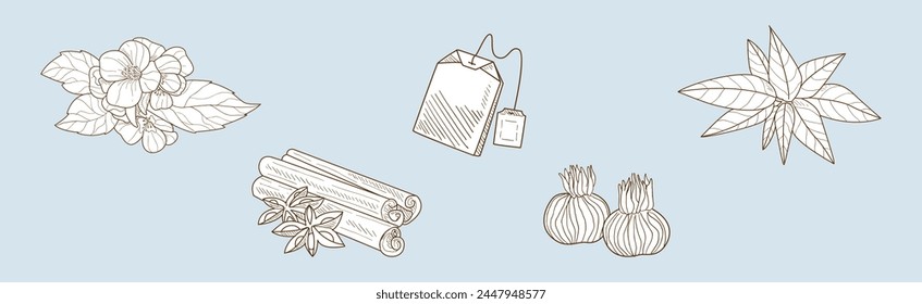 Herbal Tea Item and Element Sketch Hand Drawn Vector Set