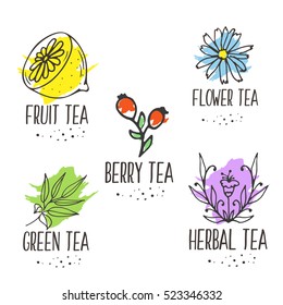 Herbal tea logo elements collection. Organic herbs and wild flowers. Hand sketched fruits and berries illustration. Flower and leaves branches. Floral vector design.
