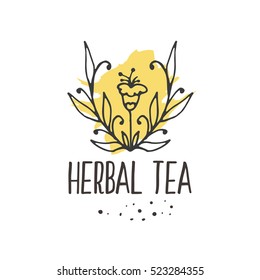 Herbal tea seamless pattern. Organic hot drinks package design. Hand sketched herbs and flowers illustration collection. Vector design.