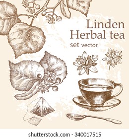 Herbal tea  set. Linden tea. Hand drawn. Vintage background.
