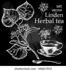 Herbal tea  set. Linden tea. Hand drawn.  Chalkboard background.
