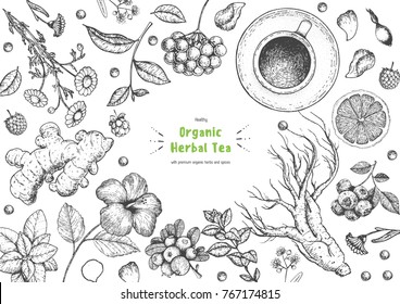 Herbal Tea shop frame vector illustration. Vector design with herbal ingredients. Hand drawn sketch collection. Engraved style.