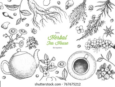 Herbal Tea shop frame vector illustration. Vector design with herbal tea ingredients. Hand drawn sketch collection. Engraved style.