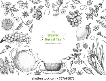 Herbal Tea shop frame vector illustration. Vector design with herbal tea ingredients. Hand drawn sketch collection. Engraved style.