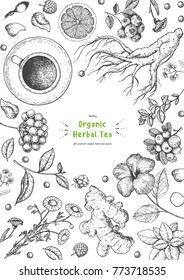 Herbal Tea shop frame vector illustration. Vector design with herbal ingredients. Hand drawn sketch collection. Engraved style.