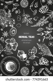 Herbal Tea shop frame vector illustration. Vector design with herbal ingredients. Hand drawn sketch collection. Engraved style.