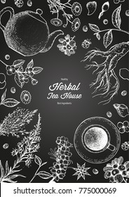 Herbal Tea shop frame vector illustration. Vector design with herbal tea ingredients. Hand drawn sketch collection. Engraved style.