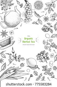 Herbal Tea Shop Frame Vector Illustration. Vector Design With Herbal Tea Ingredients. Hand Drawn Sketch Collection. Vertical Poster. Engraved Style.