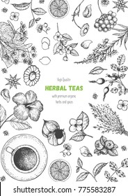 Herbal Tea shop frame vector illustration. Vector design with herbal tea ingredients. Hand drawn sketch collection. Vertical poster. Engraved style.