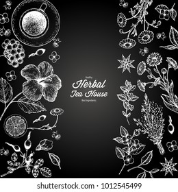 Herbal Tea shop vector illustration. Vector design with herbal tea ingredients. Healthy food and drink set. Hand drawn sketch collection. Engraved style frame.