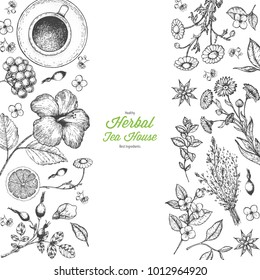 Herbal Tea shop vector illustration. Vector design with herbal tea ingredients. Healthy food and drink set. Hand drawn sketch collection. Engraved style.