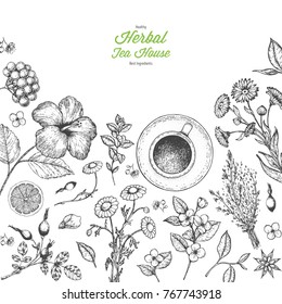 Herbal Tea shop vector illustration. Vector design with herbal tea ingredients. Hand drawn sketch collection. Engraved style.