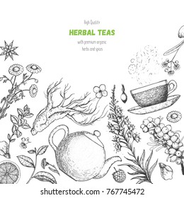 Herbal Tea shop vector illustration. Vector design with herbal tea ingredients. Hand drawn sketch collection. Engraved style.