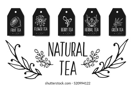 Herbal tea tags collection. Organic herbs and wild flowers. Hand sketched fruits  berries illustration.