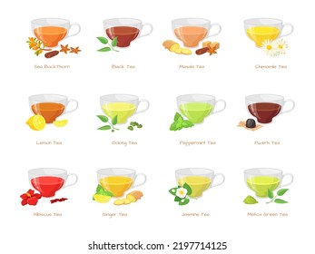 Kräutertee. Verschiedene Typen grüne schwarze Tees, heißes Zuckergetränk in Glas-Tasse, Blumen Jasmin Ingwer Pfefferminz Zitrone roten Hibiskus Getränk Gewürzgeschmack, schöne Vektorgrafik. Grüner Kräutertee