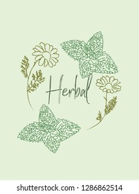 Herbal tea vector