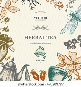 Herbal tea vector card design, herbal tea hand drawn template 