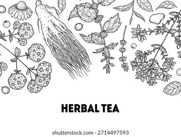 Kräutertee, Vektorgrafik. Zutaten für Kräutertee. Gesundes Essen und Trinken . Kollektion von Vektorgrafik-Skizzen. Stilrichtung graviert.