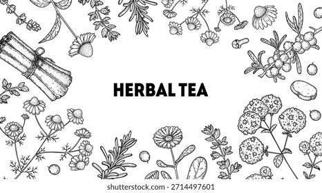 Herbal Tea vector drawing illustration. Herbal tea ingredients. Healthy food and drink . Vector drawing sketch collection. Engraved style.