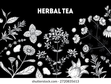 Herbal Tea vector drawing illustration. Herbal tea ingredients. Healthy food and drink . Vector drawing sketch collection. Engraved style.