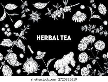 Herbal Tea vector drawing illustration. Herbal tea ingredients. Healthy food and drink . Vector drawing sketch collection. Engraved style.