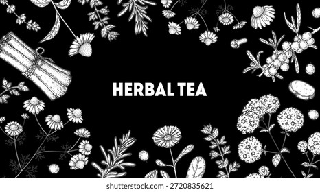 Herbal Tea vector drawing illustration. Herbal tea ingredients. Healthy food and drink . Vector drawing sketch collection. Engraved style.