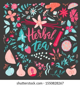 Herbal Tea vector illustration. Big Set with herbal and berry, fruit ingredients. Hand drawn trendy doodle scandinavian sketch collection