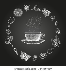 Herbal Tea vector illustration. Vector design with herbal tea ingredients. Hand drawn sketch collection. Engraved style.