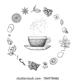 Herbal Tea vector illustration. Vector design with herbal tea ingredients. Hand drawn sketch collection. Engraved style.