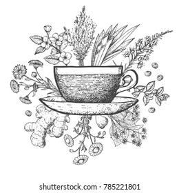 Herbal Tea vector illustration. Vector design with herbal tea ingredients. Hand drawn sketch collection. Engraved style.