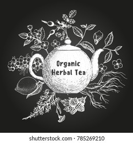 Herbal Tea vector illustration. Vector design with herbal tea ingredients. Hand drawn sketch collection. Engraved style.