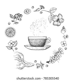 Herbal Tea vector illustration. Vector design with herbal tea ingredients. Hand drawn sketch collection. Engraved style.