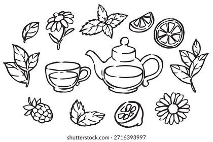 Té de hierbas, Ilustración vectorial en estilo doodle.