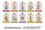 Herbal tea vector labels collection