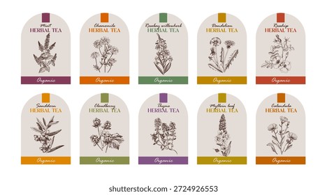 Etiquetas de Vector de té de hierbas colección