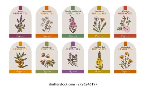 Etiquetas de Vector de té de hierbas colección