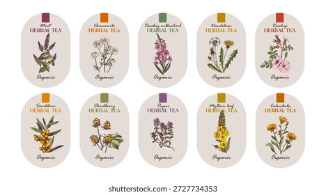 Etiquetas de Vector de té de hierbas colección